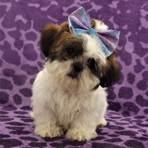 giant sully stuffed animal