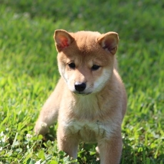 saltwater aquarium near me